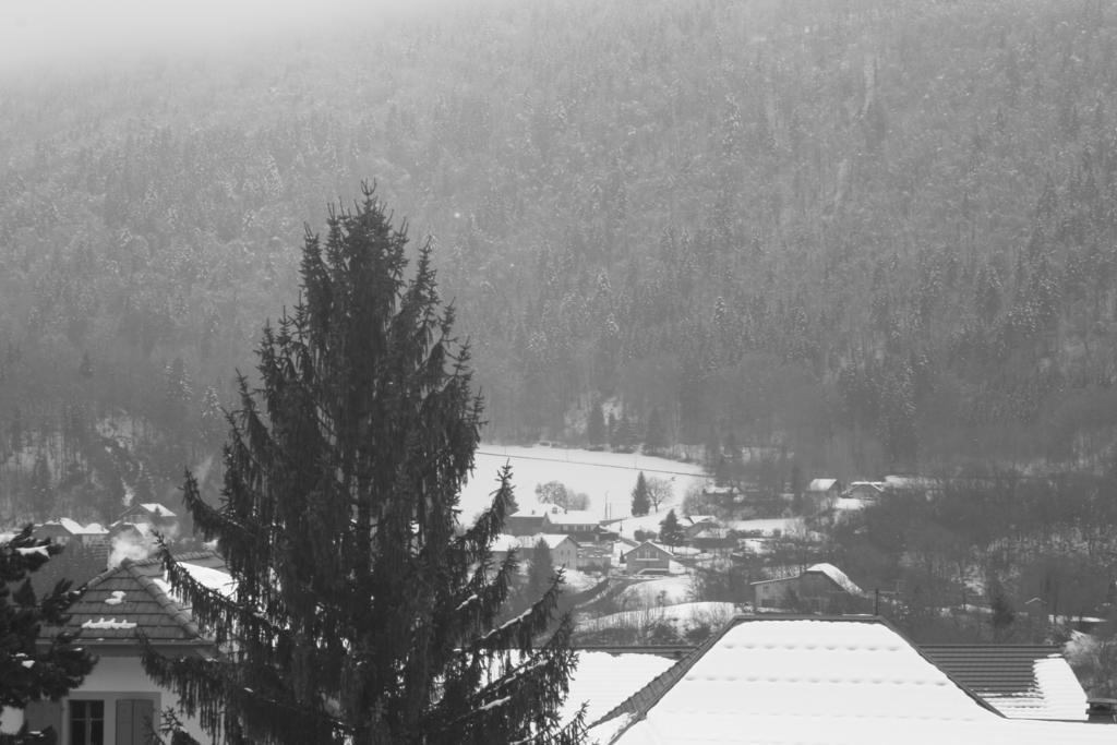 Accueil Savoyard Hotel Mieussy Szoba fotó